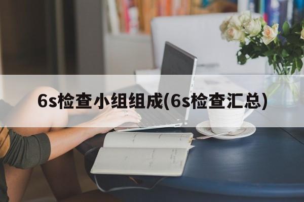 6s检查小组组成(6s检查汇总)